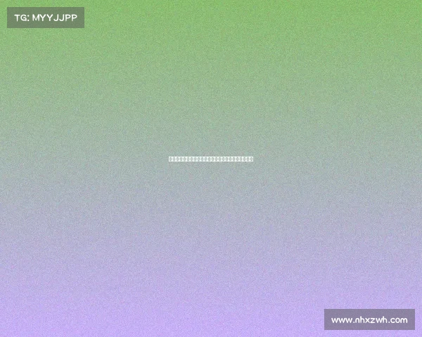 谢菲联足球俱乐部历史辉煌与未来发展潜力的深度分析